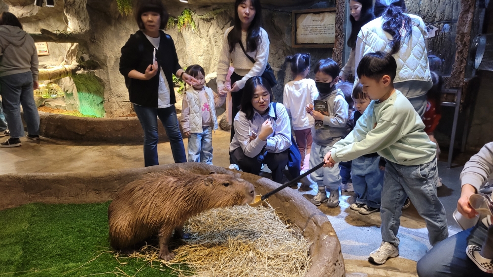 광주교회 / 교회앨범