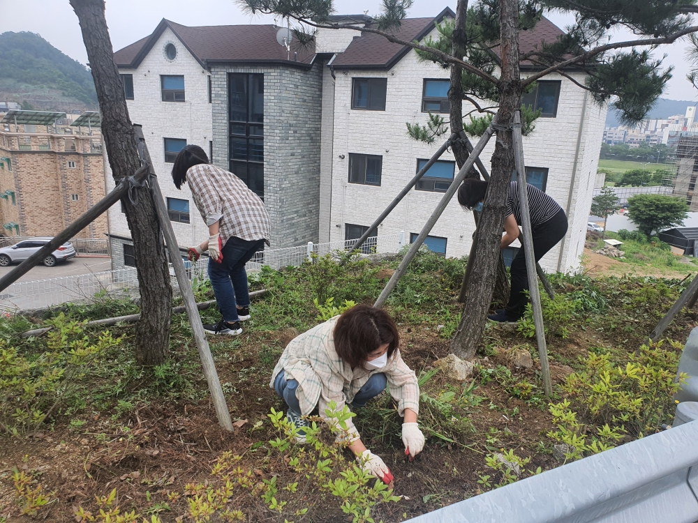 광주교회 / 광주교회풍경